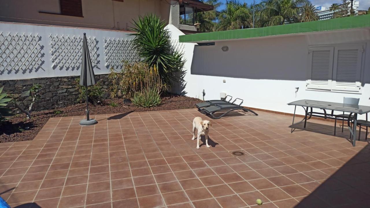 Villa Fantastica Vivienda En Playa De San Agustin Con Piscina Esterno foto